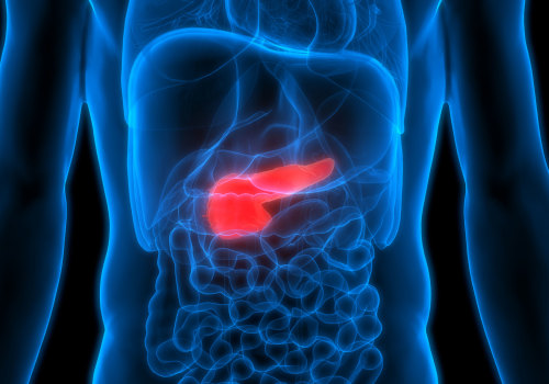 Insulin Production from the Pancreas: Everything You Need to Know