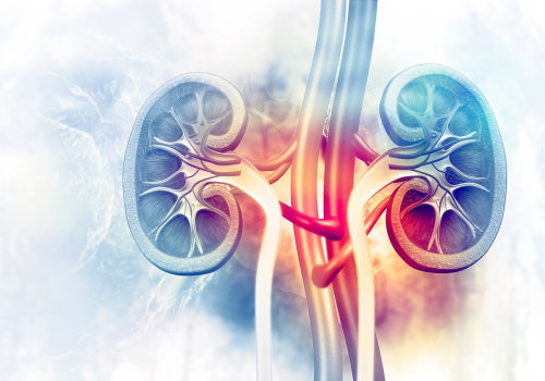 Reduced Risk of Kidney Damage with Semaglutide Therapy